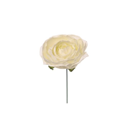 PICK RANUNCOLO WHITE